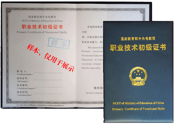 初级证书展示